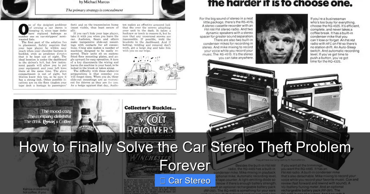 How to Finally Solve the Car Stereo Theft Problem Forever