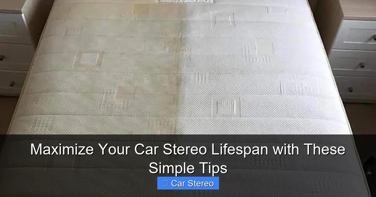 Maximize Your Car Stereo Lifespan with These Simple Tips